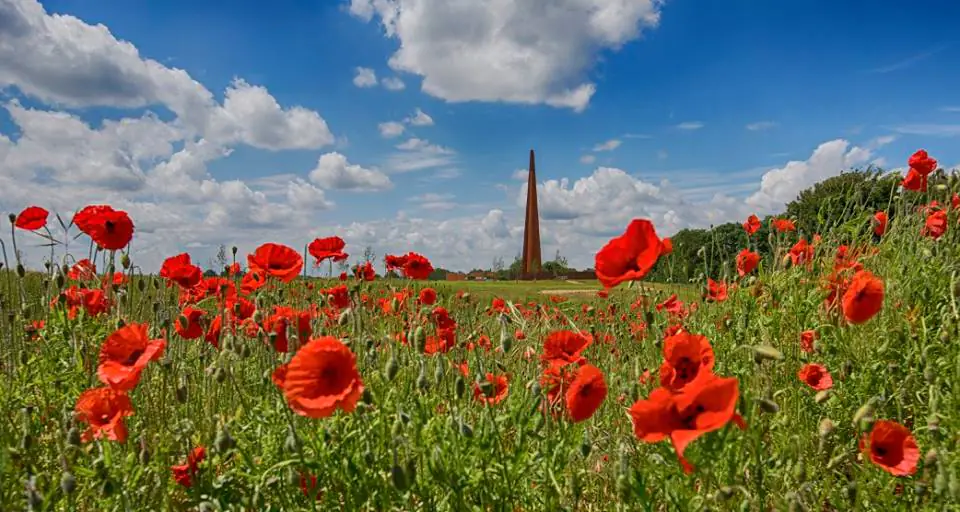 The International Bomber Command Centre in a field of poppies