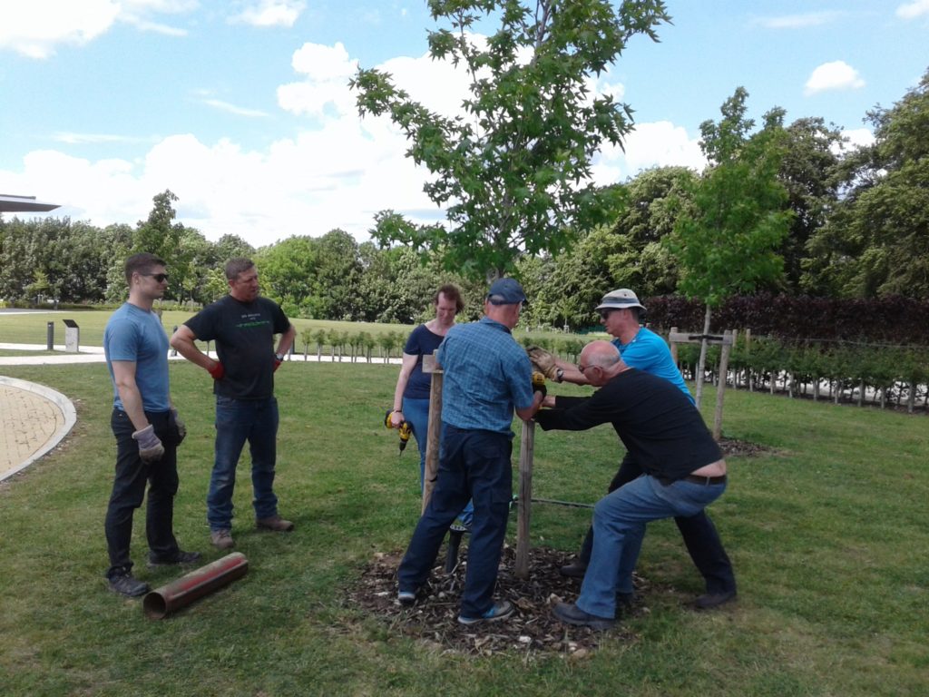 Volunteers planting trees in the IBCC gardens