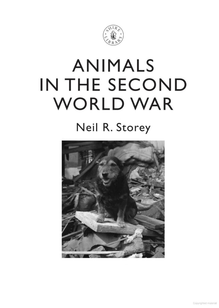 Animals in the Second World War - Image 3