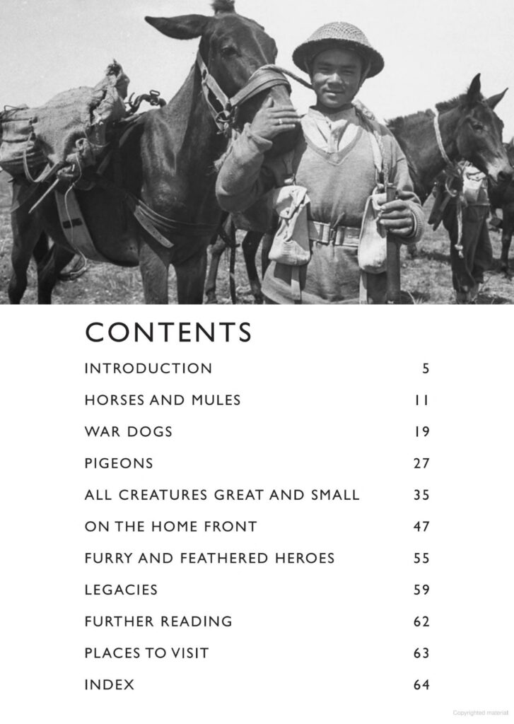 Animals in the Second World War - Image 4