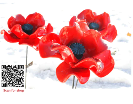 The IBCC Lancaster Poppy Display – Information and ordering link
