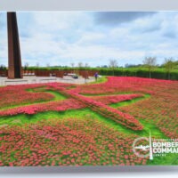 Greeting Card - Poppy and Spire