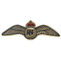 RAF Cast Aluminium Plaque - RAF Wings