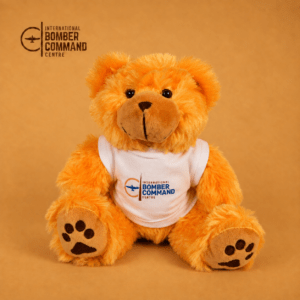 IBCC Bear - Medium