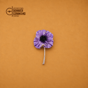 Silver Colour Purple Poppy Brooch