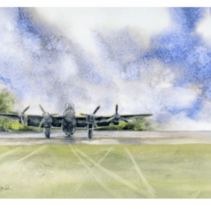 Just Jane Framed Print - Exclusive