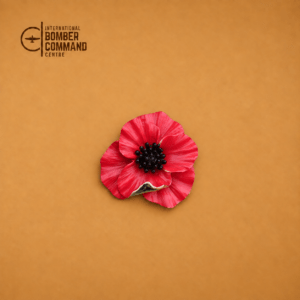 Poppy Red Flower Pin Lapel Brooch
