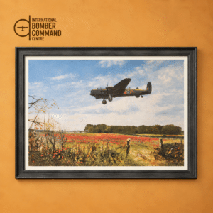 Bomber County Framed Print