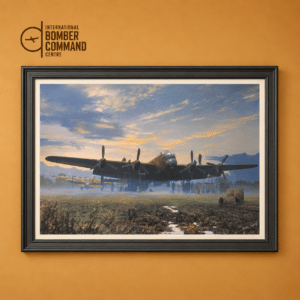 Morning Glory Framed Print